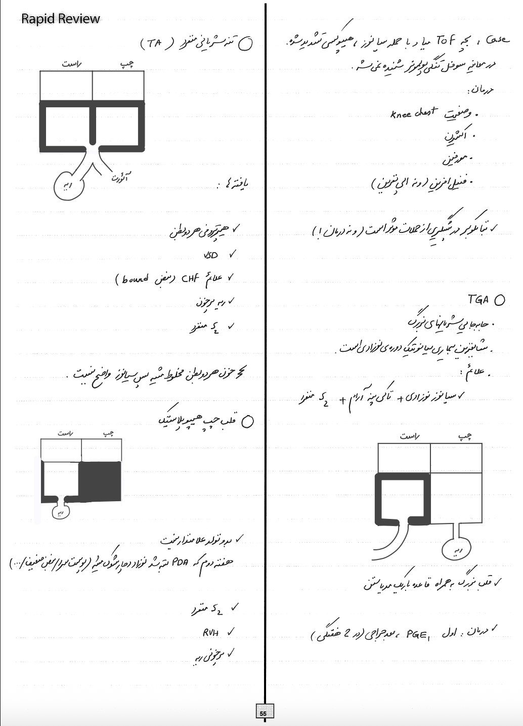مرور سریع اطفال (Pediatric Rapid Review) - تصویر 3