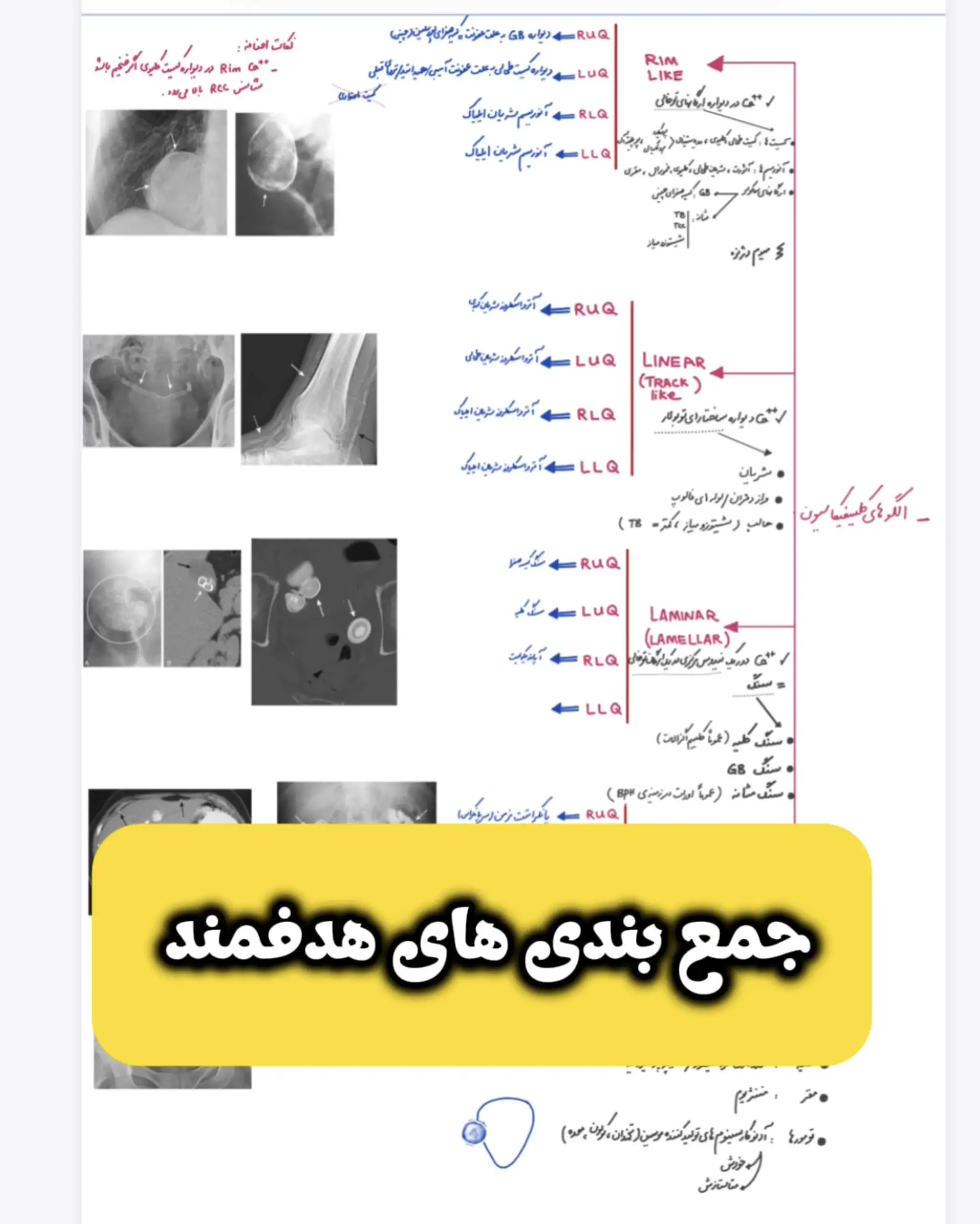 رادیولوژی لومد( Radiology-LuMed) - تصویر 4