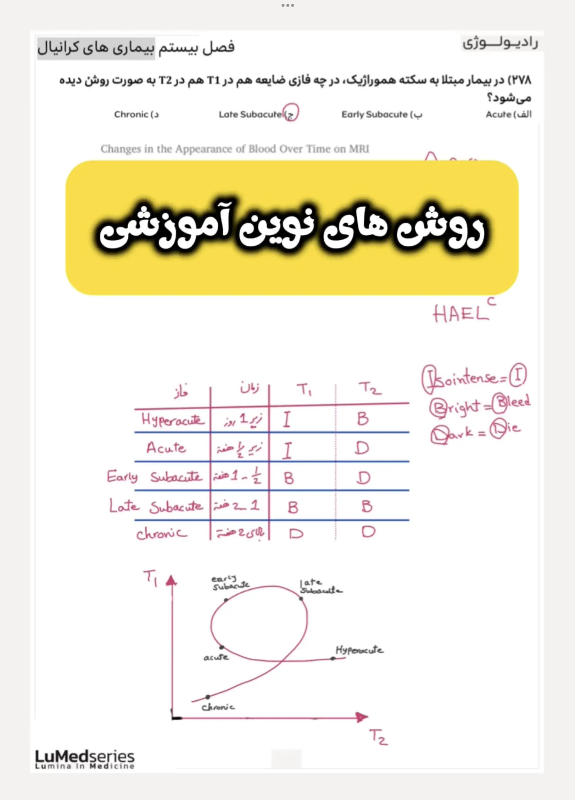 رادیولوژی لومد( Radiology-LuMed) - تصویر 6