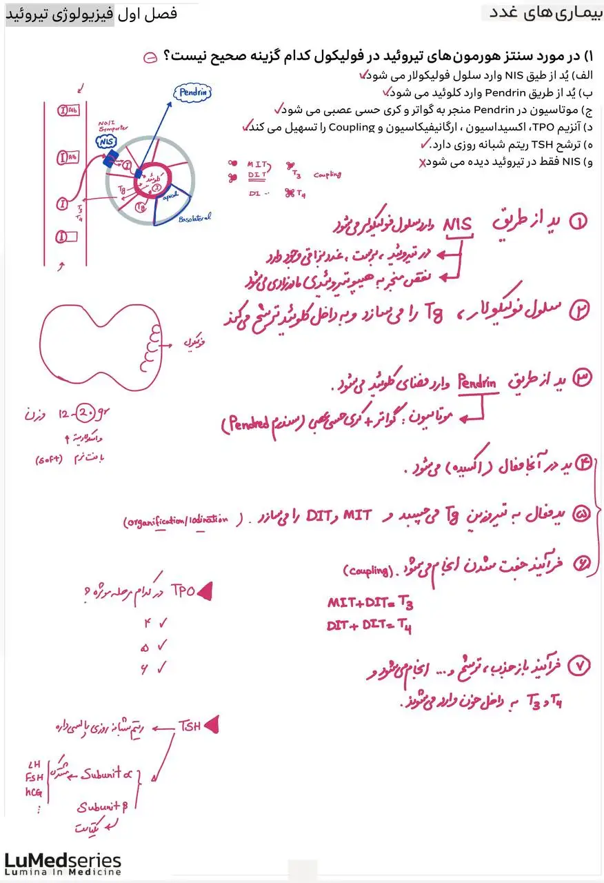 صفحه نمایشی شماره یک : غدد