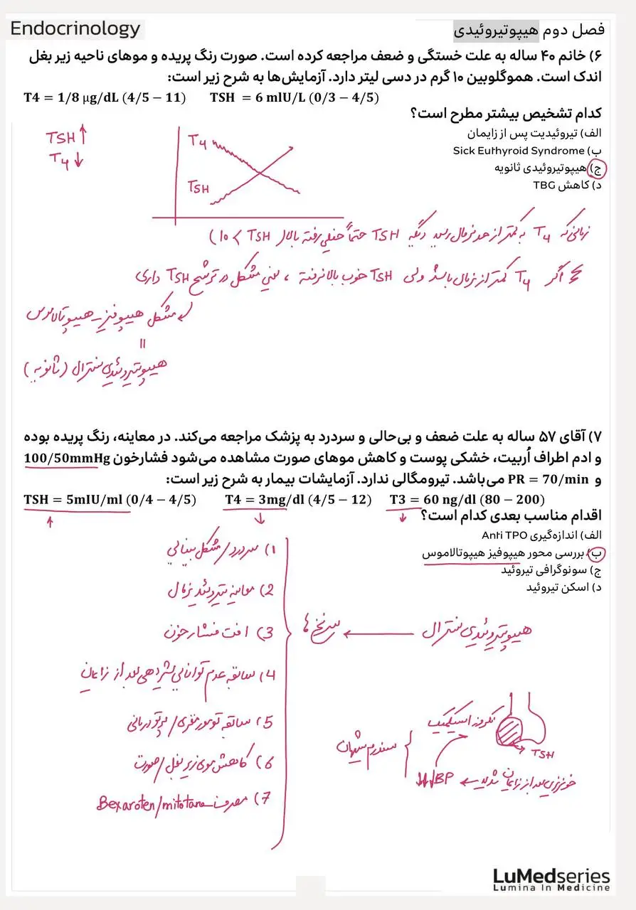 لومد غدد و متابولیسم (Endocrinology-LuMed) - تصویر 3